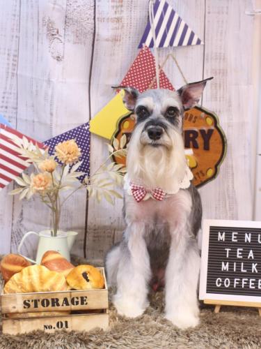 20240914銀次くん